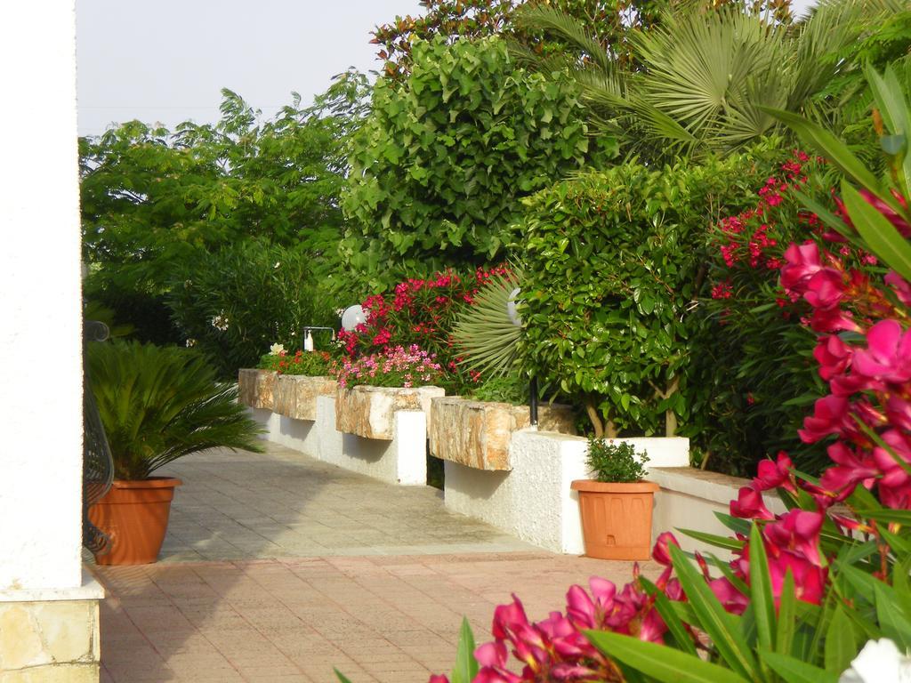 B&B Valle D'Itria Martina Franca Buitenkant foto